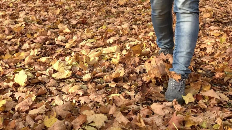 Pies de la mujer que caminan en parque del otoño