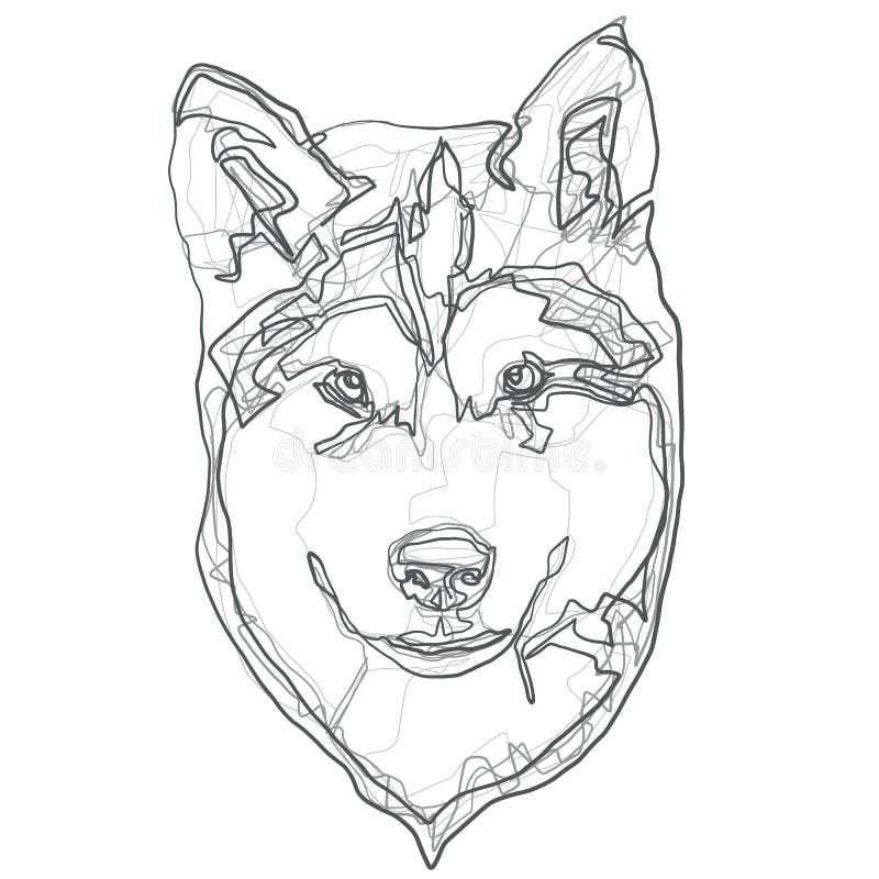 Pies jest czystą alaskańską głową szczeniaka malamute ilustracji