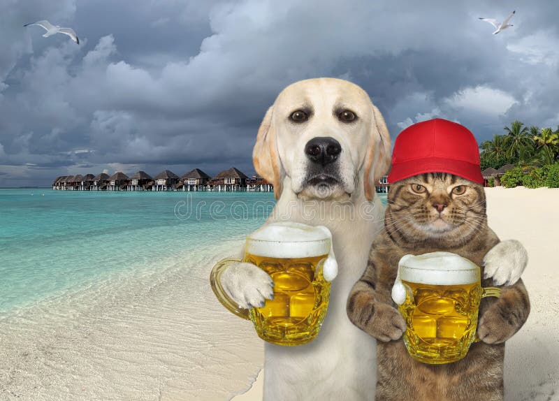 A dog with a mug of beer hugs a cat in a red cap on a tropical beach of Maldives. A dog with a mug of beer hugs a cat in a red cap on a tropical beach of Maldives