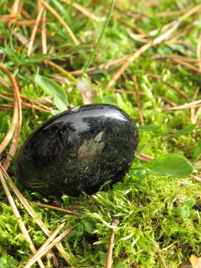 Black and labradorescence nuummite crystal stone with golden and blue shimmer on a green moss close up. Black and labradorescence nuummite crystal stone with golden and blue shimmer on a green moss close up