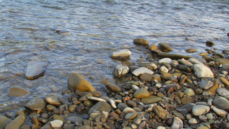 Pietre bagnate del fiume nell'acqua riverbank immagini stock libere da diritti Pietre bagnate del fiume nell'acqua riverbank immagini stock libere da diritti