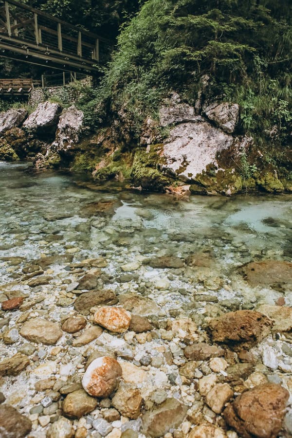 Pietre d'acqua pulite trasparenti per il fiume di montagna fotografia stock libera da diritti