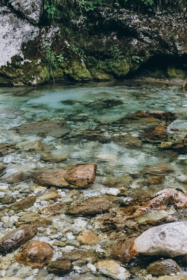Pietre d'acqua pulite trasparenti per il fiume di montagna fotografia stock
