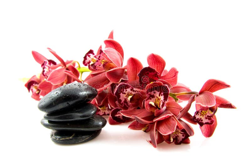 Pietre della stazione termale con l'orchidea rossa fotografie stock libere da diritti Pietre della stazione termale con l'orchidea rossa fotografie stock libere da diritti