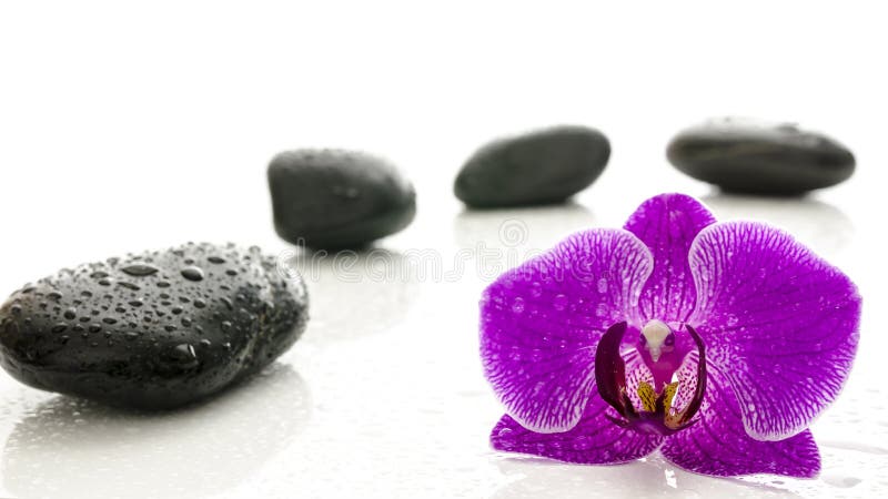 Pietre di massaggio e fiore dell'orchidea con le gocce di acqua immagini stock Pietre di massaggio e fiore dell'orchidea con le gocce di acqua immagini stock