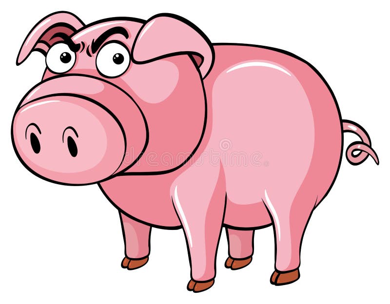 Angry Pig stock vector. Illustration of illustration 15673850