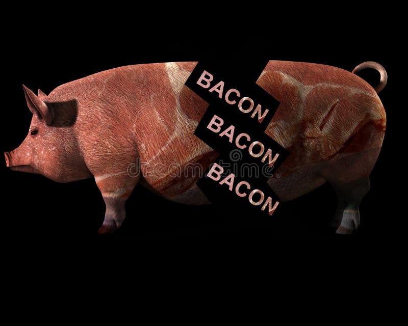 Pig And Bacon 10