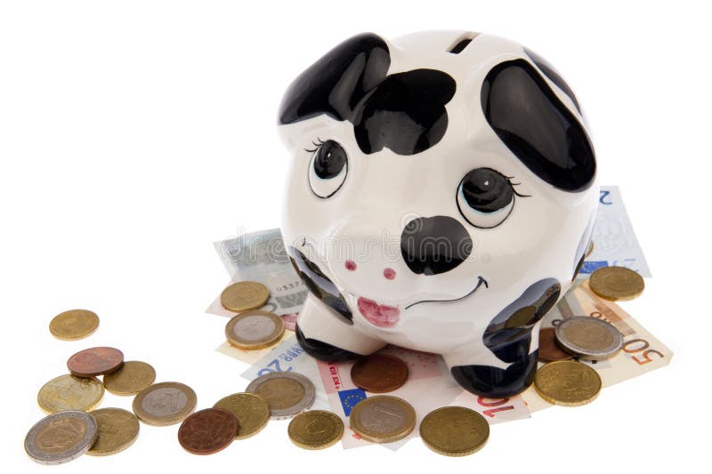 WHITE BLUE PAWS MINI CERAMIC DOG PIGGY BANK LARGE SLOT COINS BILLS MONEY SAVE 