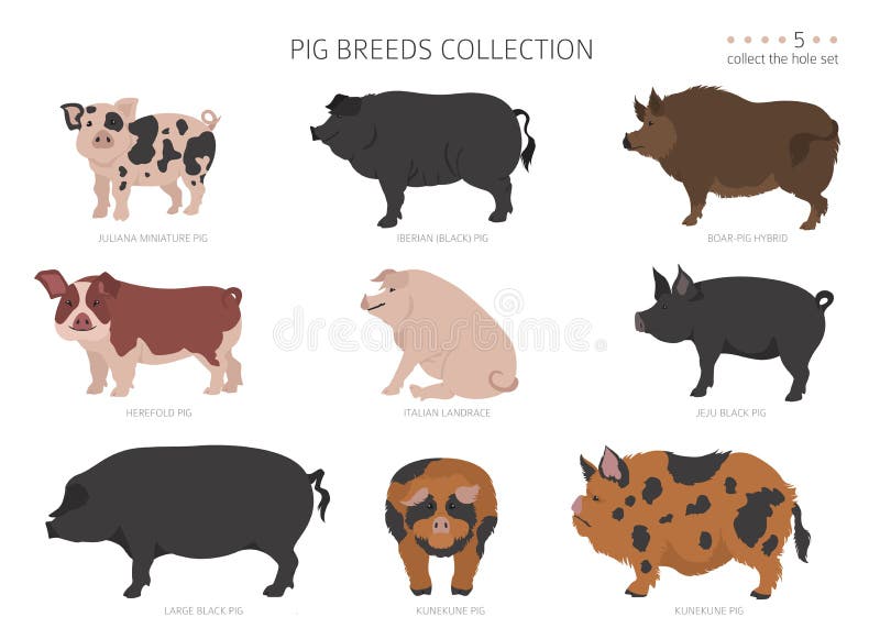 Hybrid Animals Stock Illustrations – 123 Hybrid Animals Stock  Illustrations, Vectors & Clipart - Dreamstime