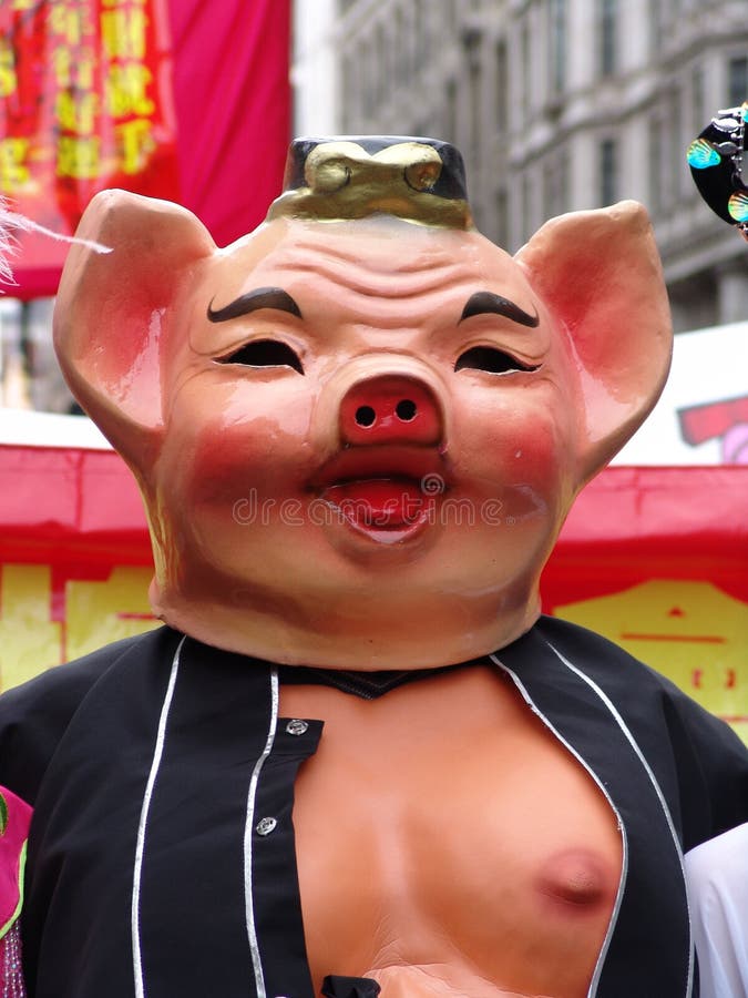 Pig at Chinese New Year stock images
