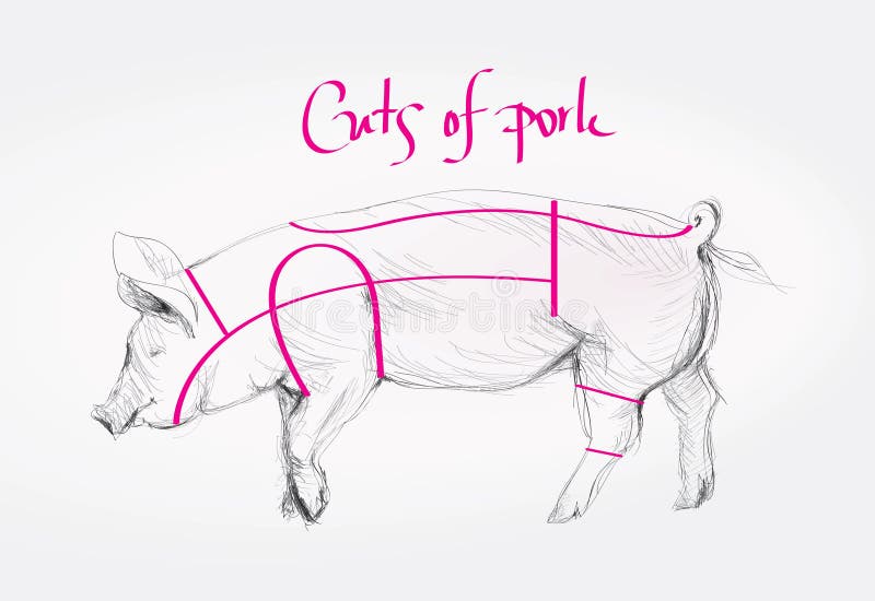 Cuts Pork Stock Illustrations – 1,407 Cuts Pork Stock Illustrations,  Vectors & Clipart - Dreamstime