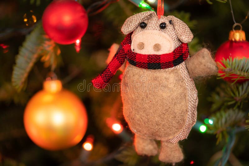 Pig Hanging Christmas Ornament Stock Image Image of indoors, humorus