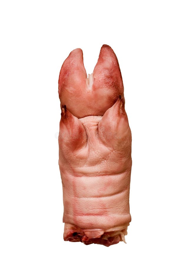 Pig hoof stock photo. Image of cholesterol, tasty, butcher 7795032