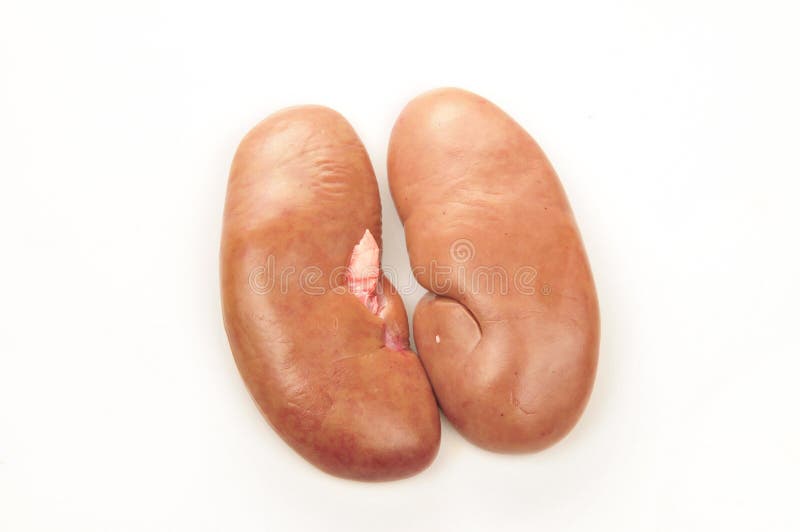 Pig Kidney on a White Background Stock Photo Image of ronny, isolation 303819174