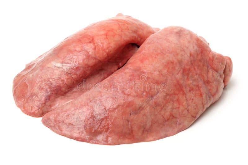 Pig lung stock image. Image of close, flesh, object 102398201