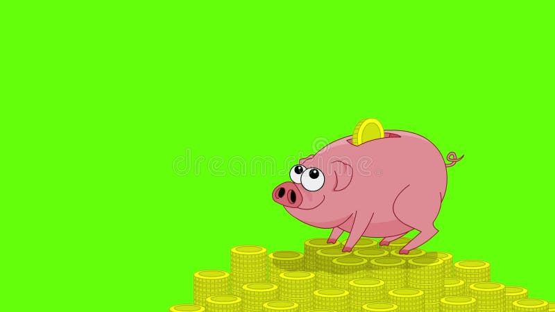 Pig money box