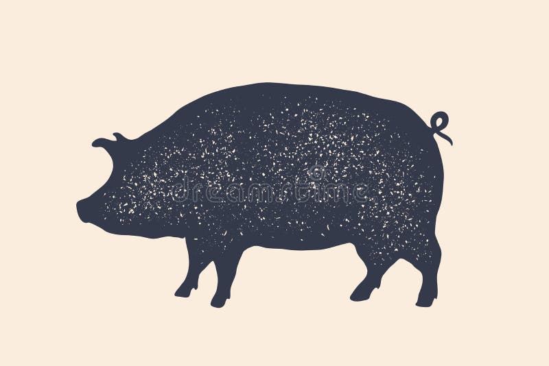 Pig, pork. Vintage logo, retro print, poster for Butchery