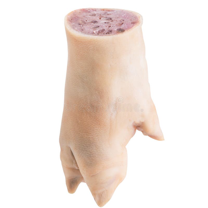 Pig S Trotters on a White Background Stock Photo Image of meat, color