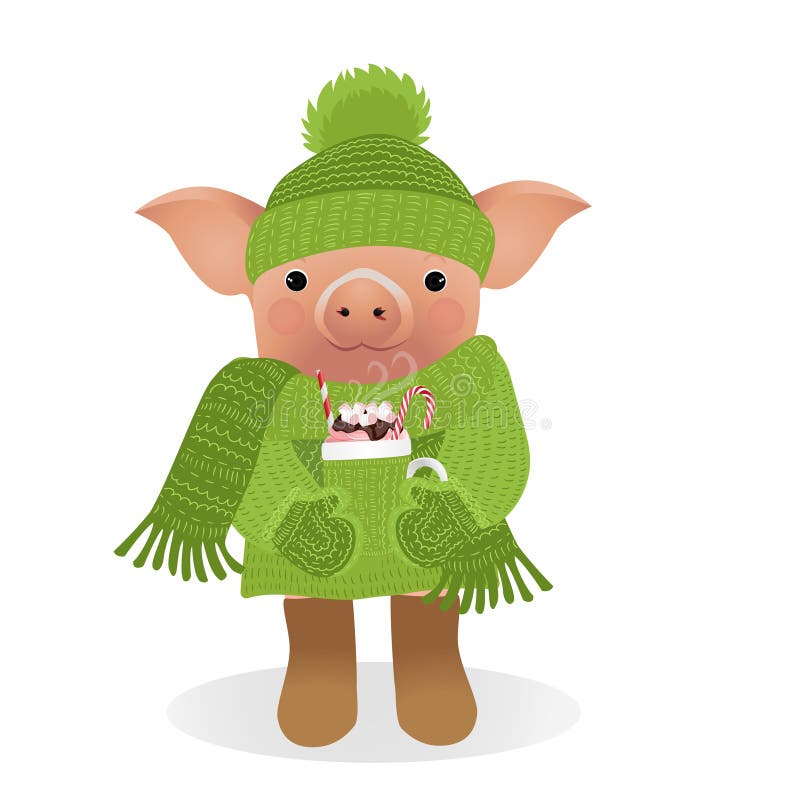 Pig in Sweater Isolated on White Background. Vector Illustration. Stock