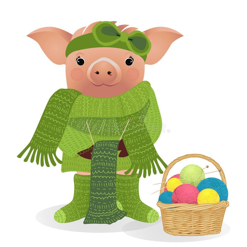 Pig in Sweater Isolated on White Background. Vector Illustration. Stock