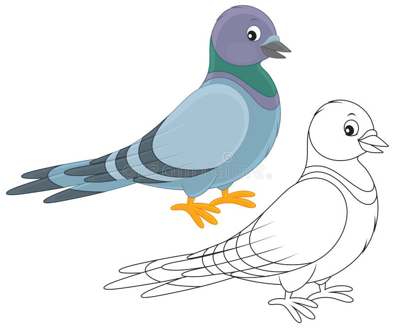 8,100+ Pigeon Drawing Stock Photos, Pictures & Royalty-Free Images - iStock  | Pigeons