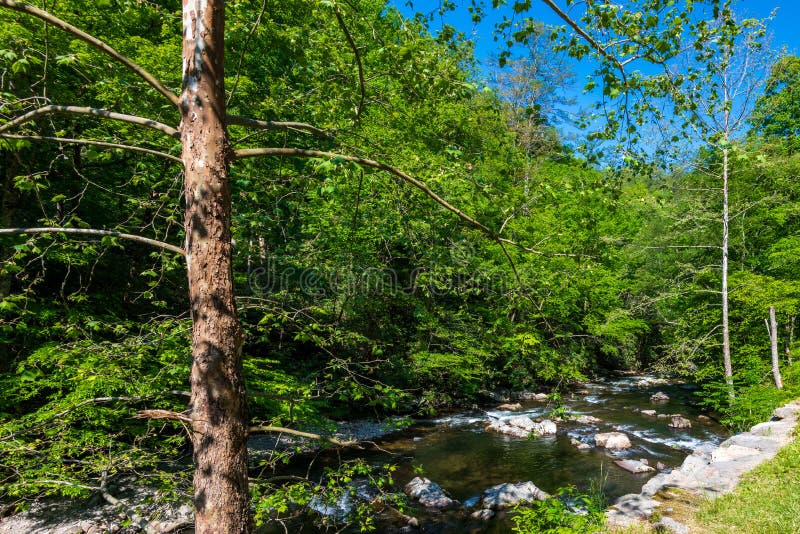 Pigeon River in the Great Smoky Mountains Stock Photo Image of