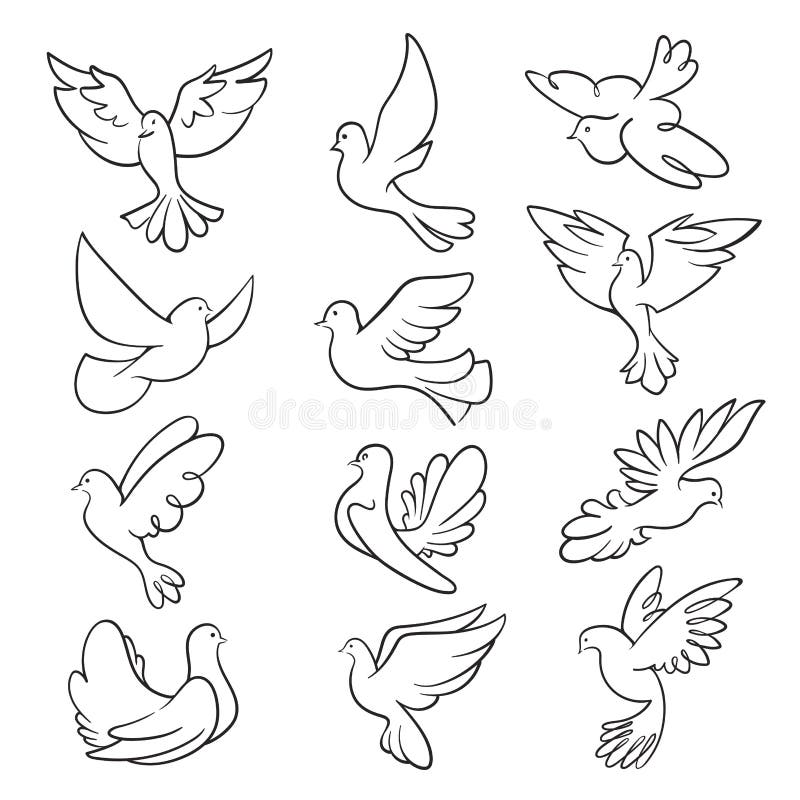 Pigeon Sketch Peace Set, Black Dove Bird Stock Vector - Illustration of ...