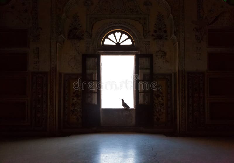 Solo holub sedí na otevřené okno starého paláce.