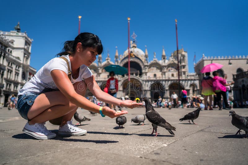 Pigeons de alimentation de touristes de femme dans la place - le St marque la place - photos stock Pigeons de alimentation de touristes de femme dans la place - le St marque la place - photos stock