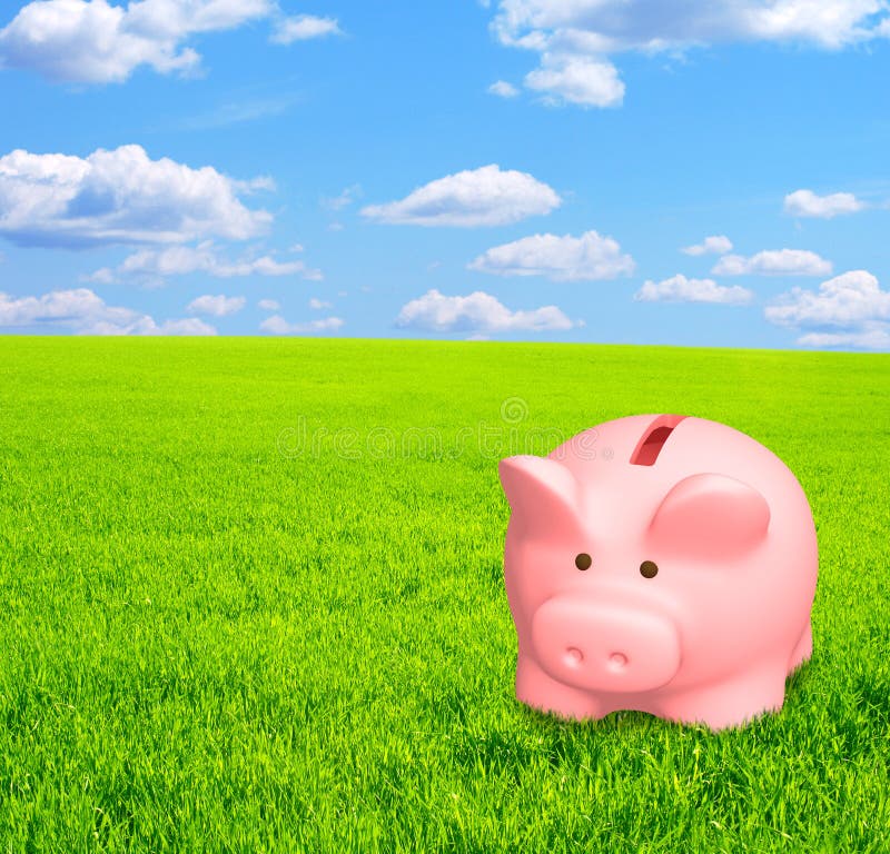 Piggy bank stock photo. Image of grass, bright, cash 11618416
