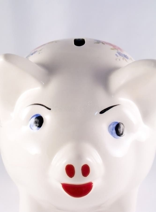 Piggy Bank Picture. Image 1562827
