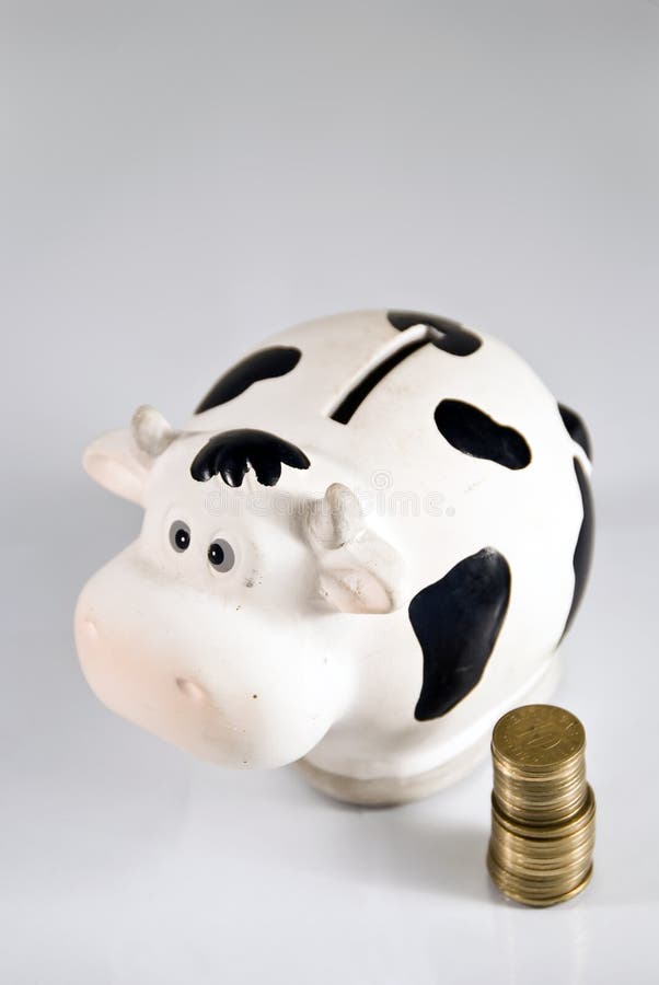 Piggy bank, cash cow stock photo. Image of piggy, piggybank 12523788