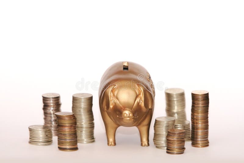 Piggy Bank and Coins