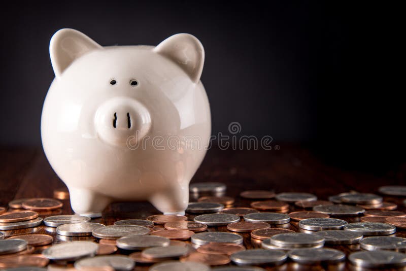 Piggy Bank Photos, Download The BEST Free Piggy Bank Stock Photos & HD  Images