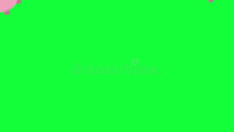 Piggy bank group elements short animation green screen chroma key stock video