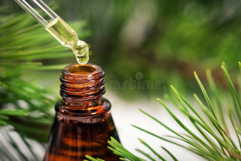 Pine essential oil. liquid dripping from pipette to the bottle. Pine essential oil. liquid dripping from pipette to the bottle