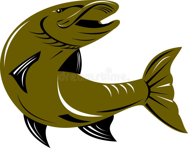 Musky Fish Stock Illustrations – 55 Musky Fish Stock Illustrations, Vectors  & Clipart - Dreamstime