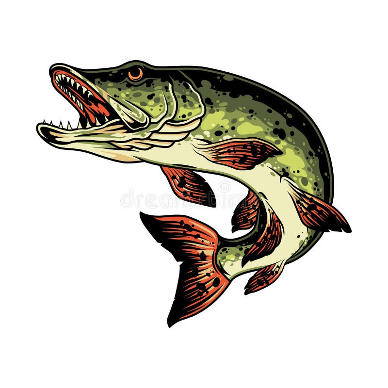 Pike fish colorful vintage concept royalty free illustration
