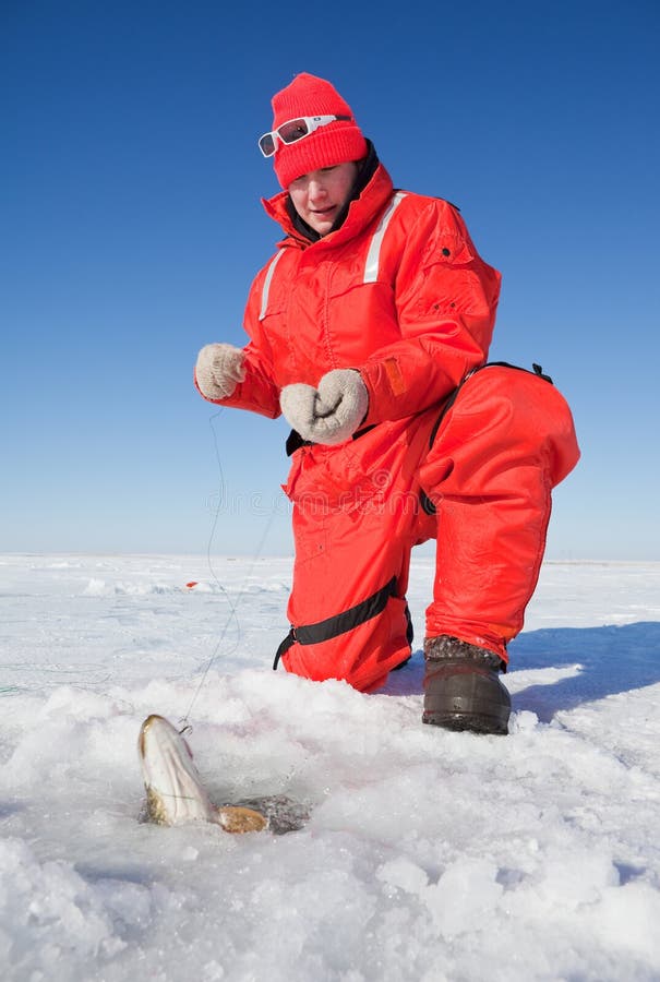 Ice fisherman fighting a northern pike through the ice with a hand line. Ice fisherman fighting a northern pike through the ice with a hand line