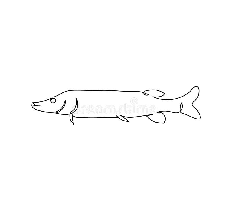 9+ Fish Line Drawing