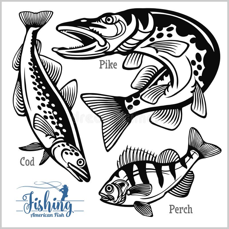 Pike, Perch and Cod fishing on usa isolated on white stock illustration