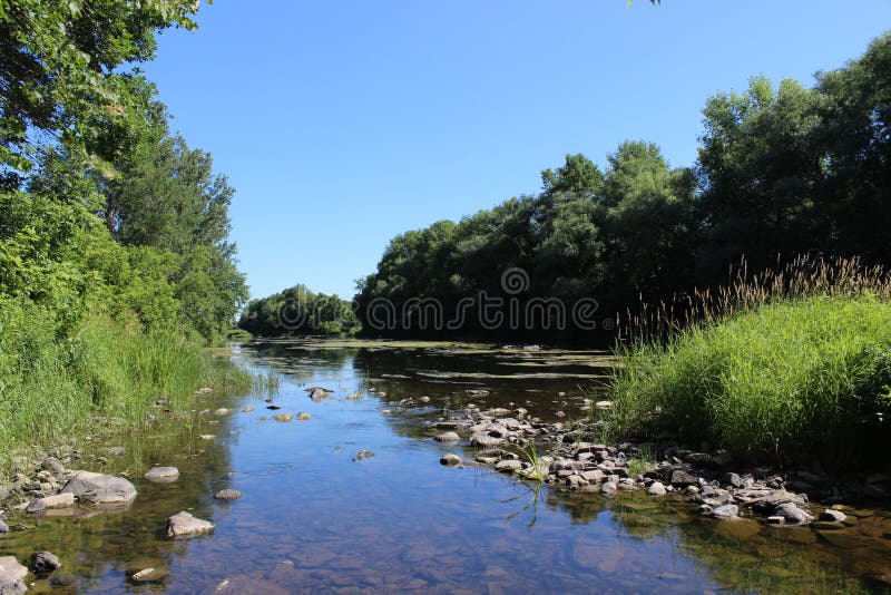 River pike stock photo. Image of predator, skin, pike 18925652