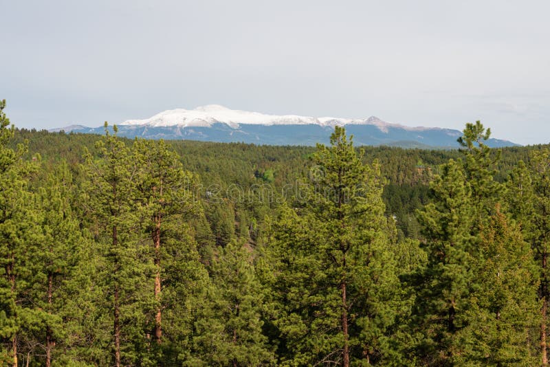 Pike`s Peak and alpine forest