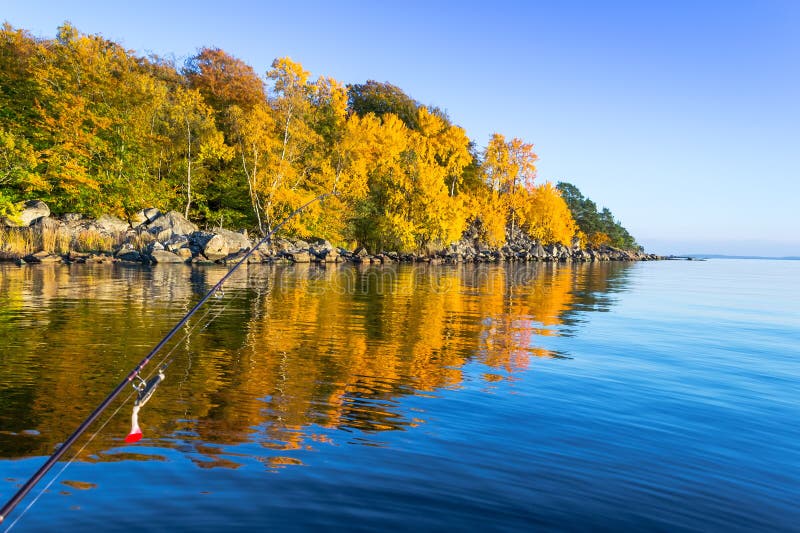 Pike sea fishing in autumn scenery