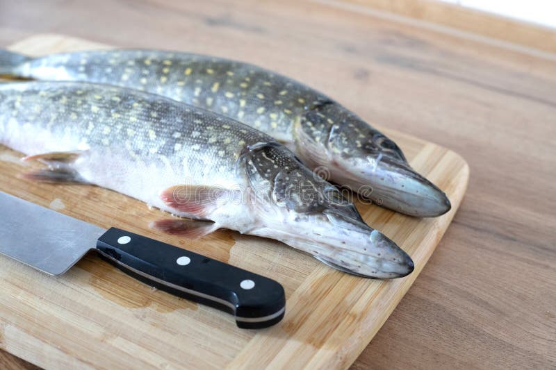 Pikes på skärskivor med köksknife royaltyfri foto
