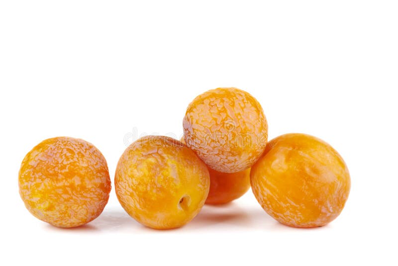 Pila de ciruelos de cereza amarillos mitad-secados aislados en el fondo blanco imágenes de archivo libres de regalías Pila de ciruelos de cereza amarillos mitad-secados aislados en el fondo blanco imágenes de archivo libres de regalías