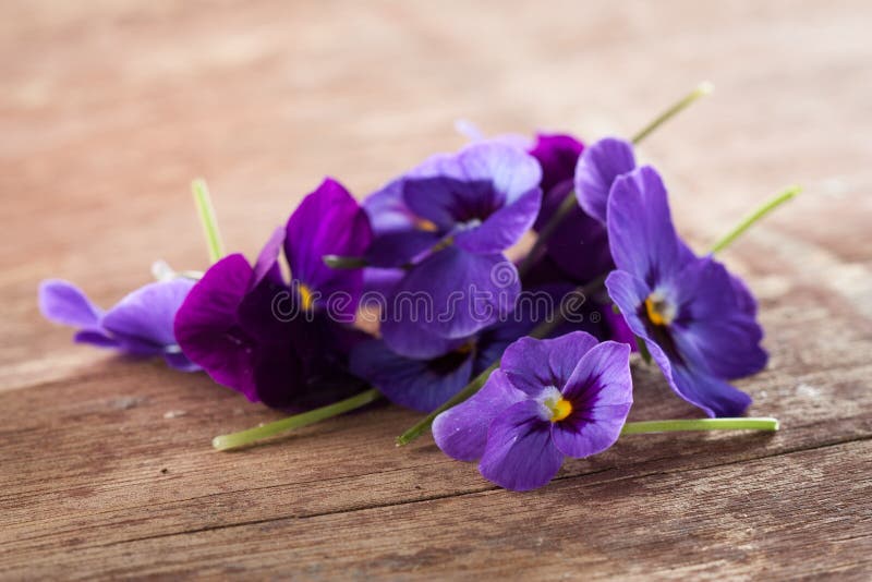 Pila De Flores Comestibles Violetas Imagen de archivo - Imagen de hojas,  comestible: 30436751