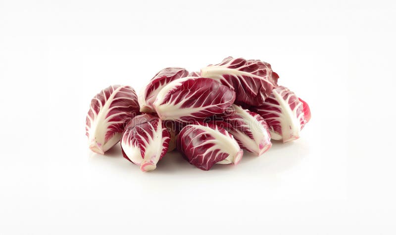 Pila de hojas de radicchio frescas sobre fondo blanco libre illustration