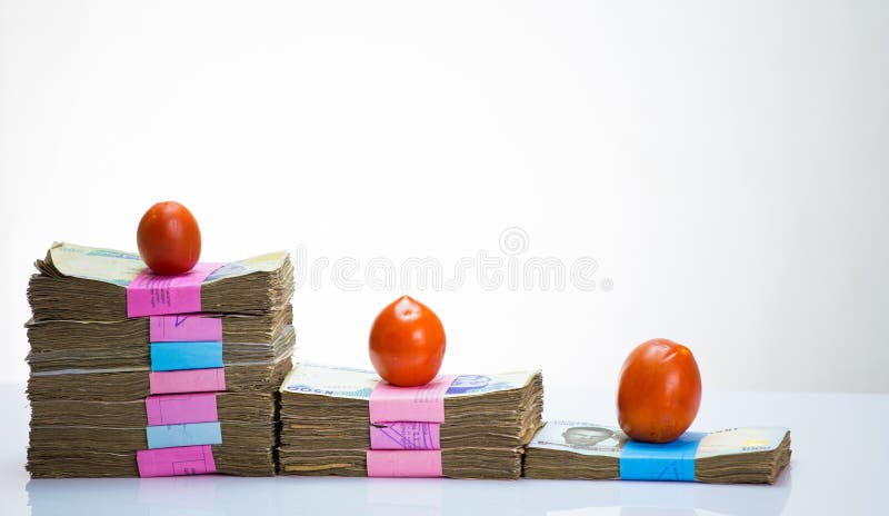 Pila de las notas y de los tomates - aumento del naira de Nigeria en materia de la comida imagen de archivo Pila de las notas y de los tomates - aumento del naira de Nigeria en materia de la comida imagen de archivo