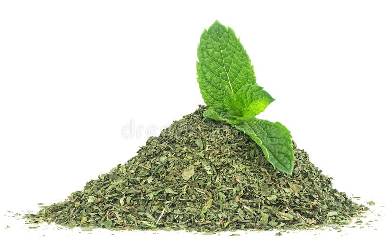 Pila de menta seca con hojas frescas de menta aisladas en fondo blanco. menta fresca y seca imágenes de archivo libres de regalías